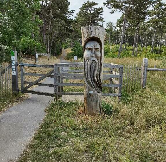 带露台的标准工作室, Sirenetta