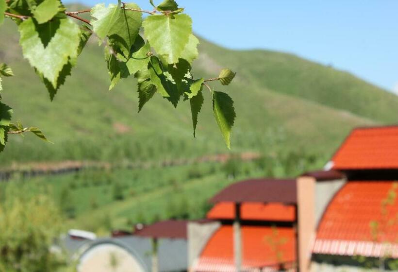 اتاق سوپریور, Eco Resort Kara Bulak