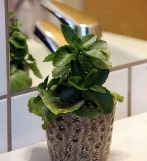 חדר סטנדרט, Jotunheimen Fjellstue