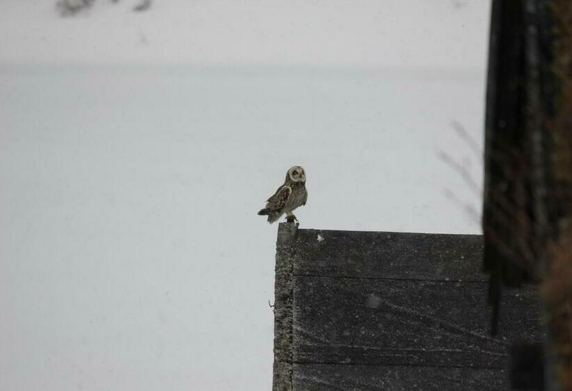 חדר סטנדרט לשלושה, Jotunheimen Fjellstue