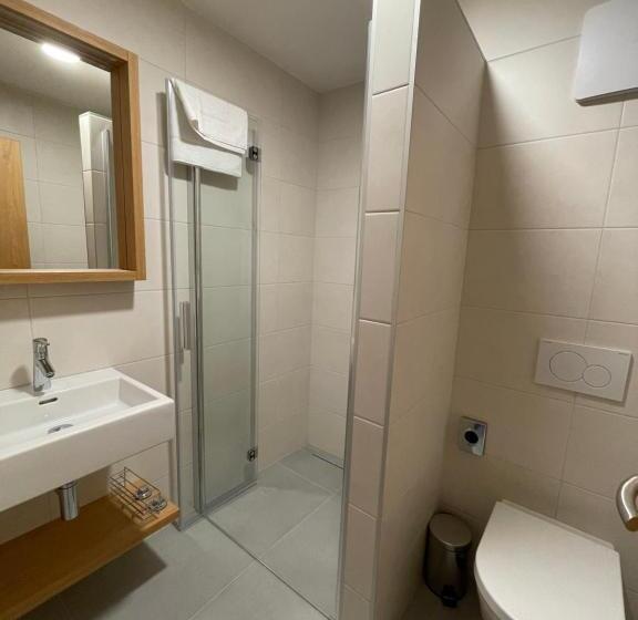 デラックスルーム, Comfort Pálava, Penzion & Restaurant