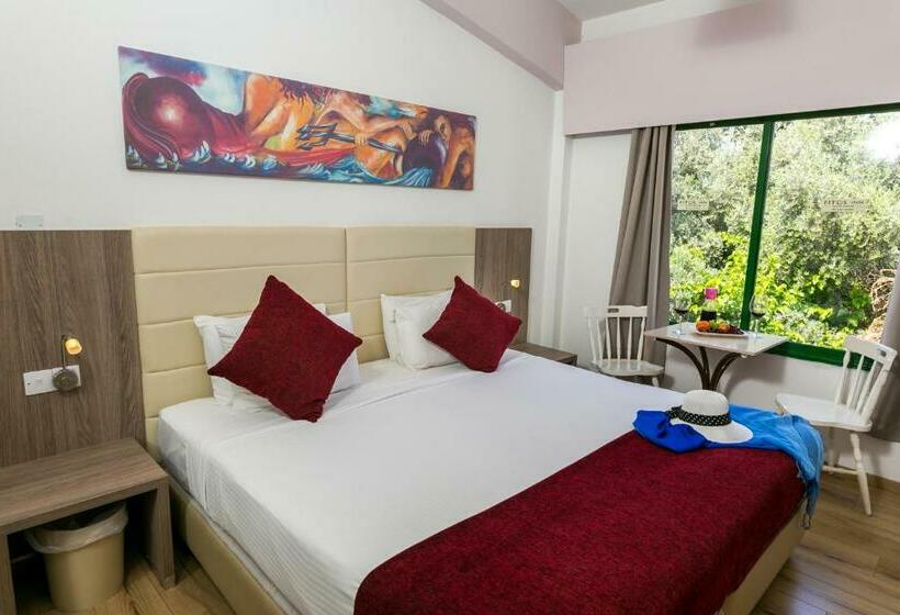 Номер Стандарт, Fitosinn