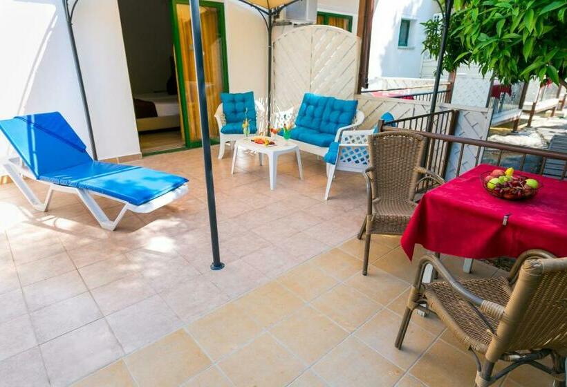 Номер Стандарт, Fitosinn