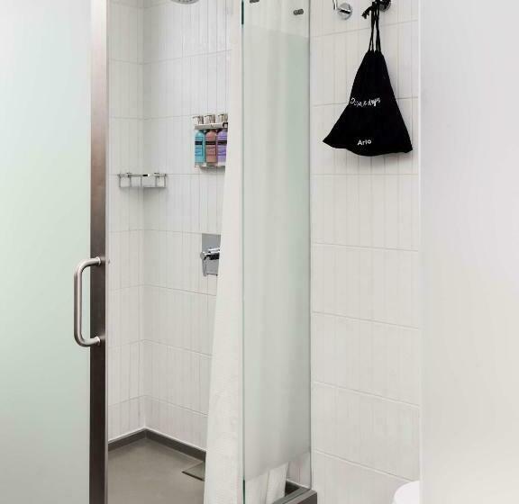 带大床的标准间, Arlo Nomad