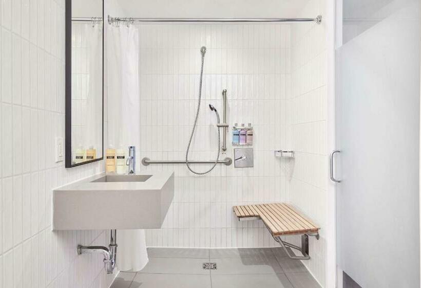 适合残疾人使用的标准间, Arlo Nomad