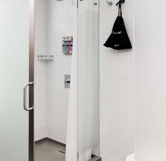 带观景的标准间, Arlo Nomad