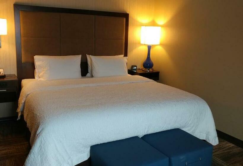 Номер Стандарт Кровать Кинг Адаптированный для Инвалидов, Hampton Inn Lexington Medical Center