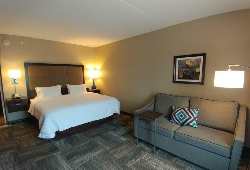 Номер Deluxe Кровать Кинг, Hampton Inn Lexington Medical Center