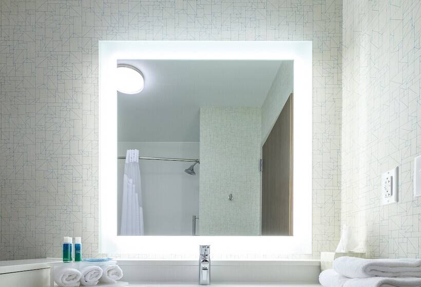Люкс Адаптированный для Инвалидов, Holiday Inn Express & Suites Eagan   Minneapolis Area, An Ihg
