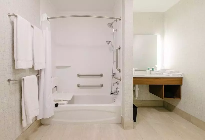 身障者適用スイートルーム, Holiday Inn Express & Suites Eagan   Minneapolis Area, An Ihg
