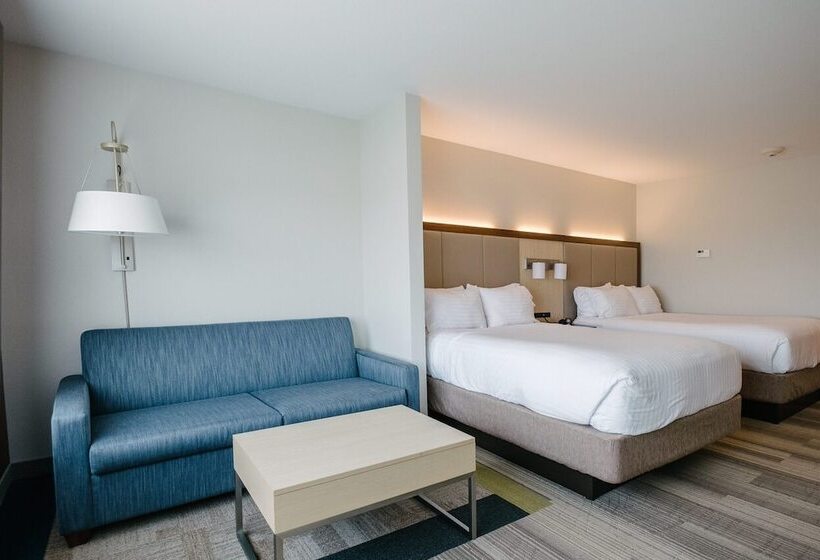 Люкс Адаптированный для Инвалидов, Holiday Inn Express & Suites Eagan   Minneapolis Area, An Ihg