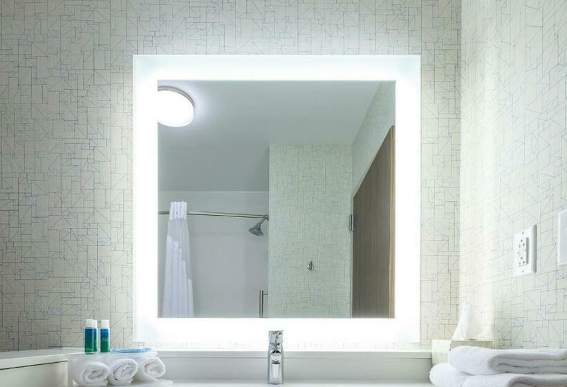 Люкс, Holiday Inn Express & Suites Eagan   Minneapolis Area, An Ihg