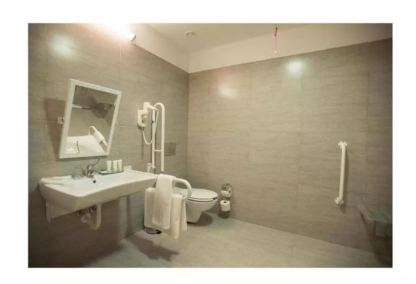 身障者適用シングルルーム, Ramada Plaza Craiova