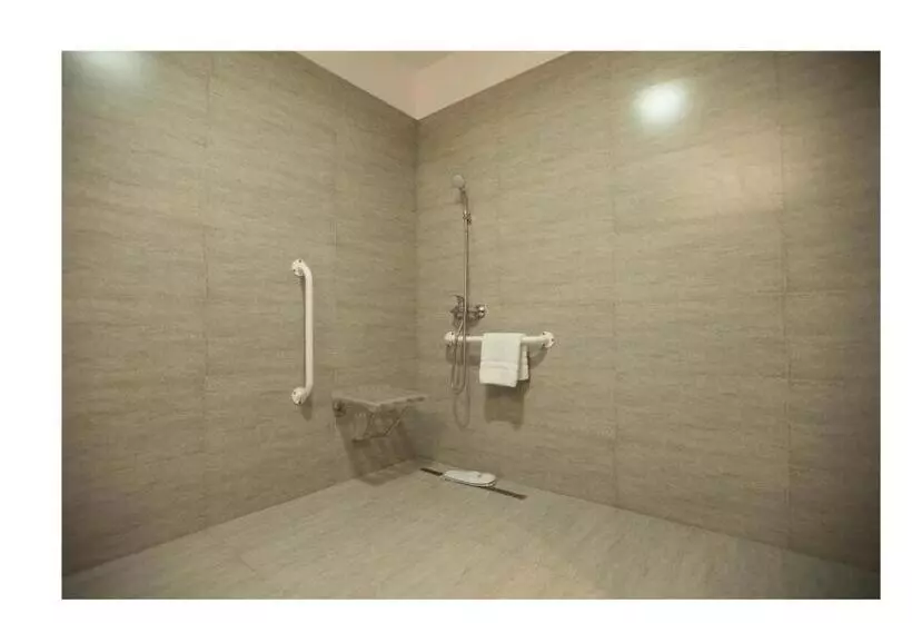 身障者適用シングルルーム, Ramada Plaza Craiova