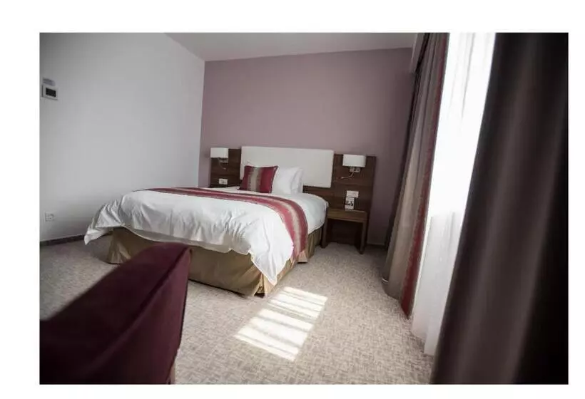 身障者適用シングルルーム, Ramada Plaza Craiova
