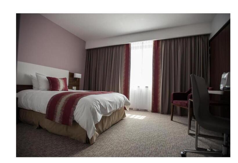 身障者適用シングルルーム, Ramada Plaza Craiova