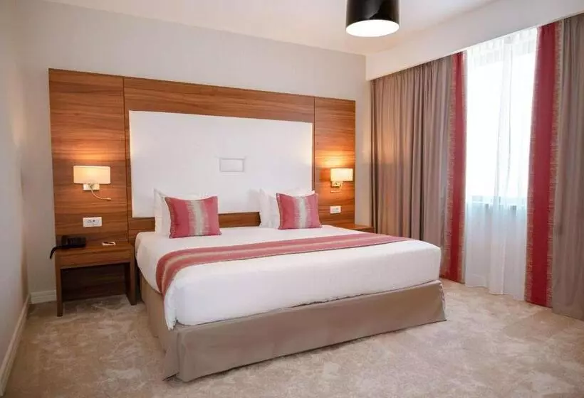 身障者適用シングルルーム, Ramada Plaza Craiova