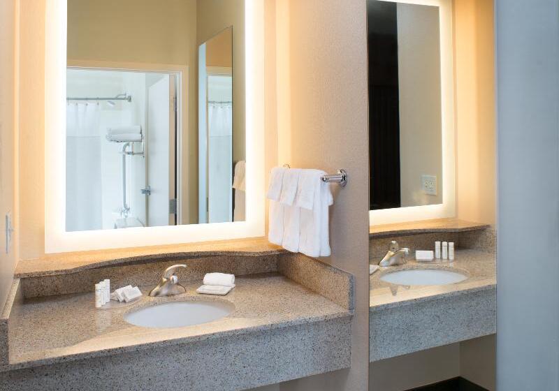 带大床的豪华间, Four Seasons Hotel Tianjin