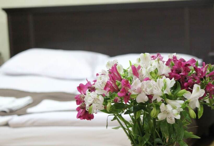 스탠다드 룸, Best View Hotel