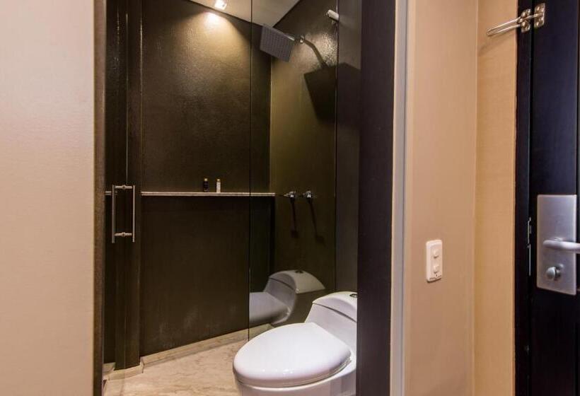 غرفة قياسية فردية, Regina