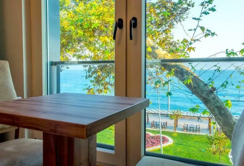 オーシャンビュースタンダードルーム, Akcakoca Poyraz Otel