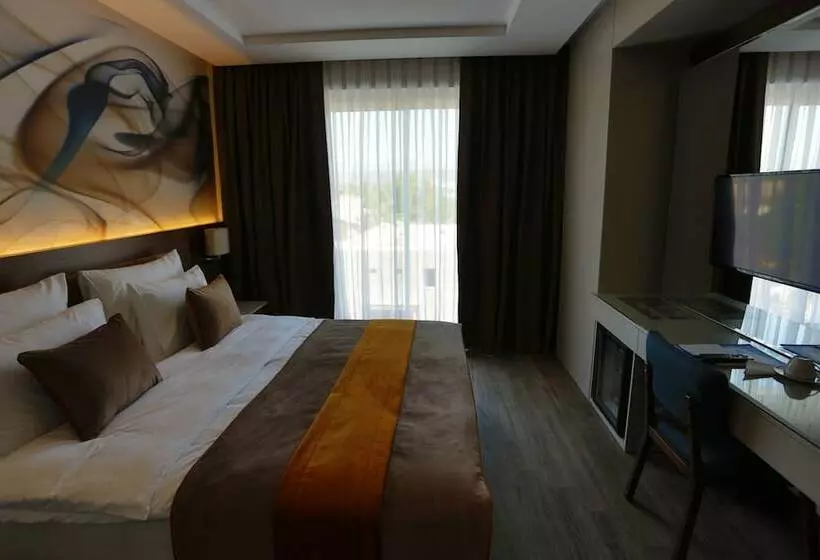 اتاق لوکس, B Business Hotel & Spa