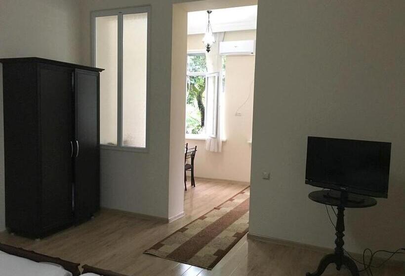 اتاق استاندارد, Batumi Summer