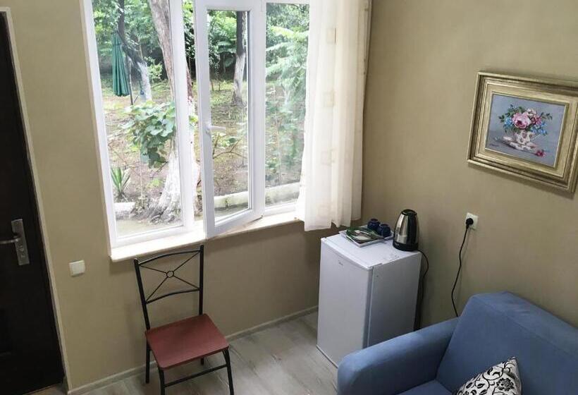 اتاق لوکس, Batumi Summer