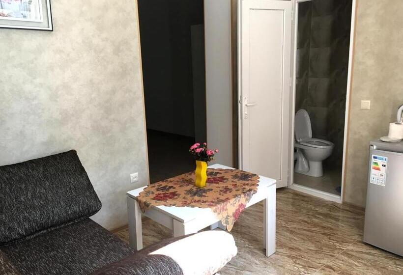 اتاق استاندارد, Batumi Summer