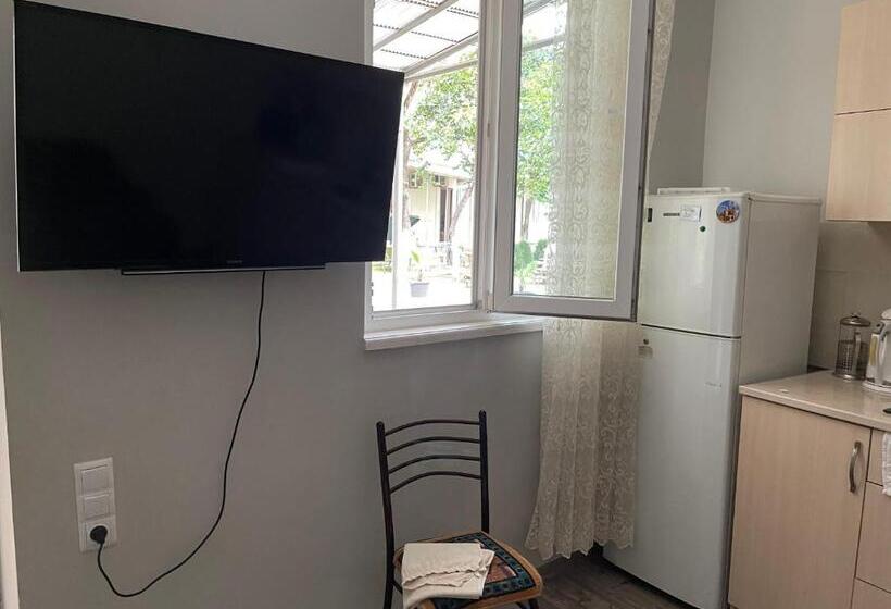 اتاق خانوادگی با چشم‌انداز باغ, Batumi Summer