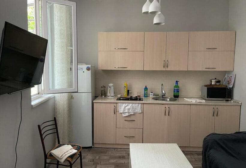 اتاق خانوادگی با چشم‌انداز باغ, Batumi Summer