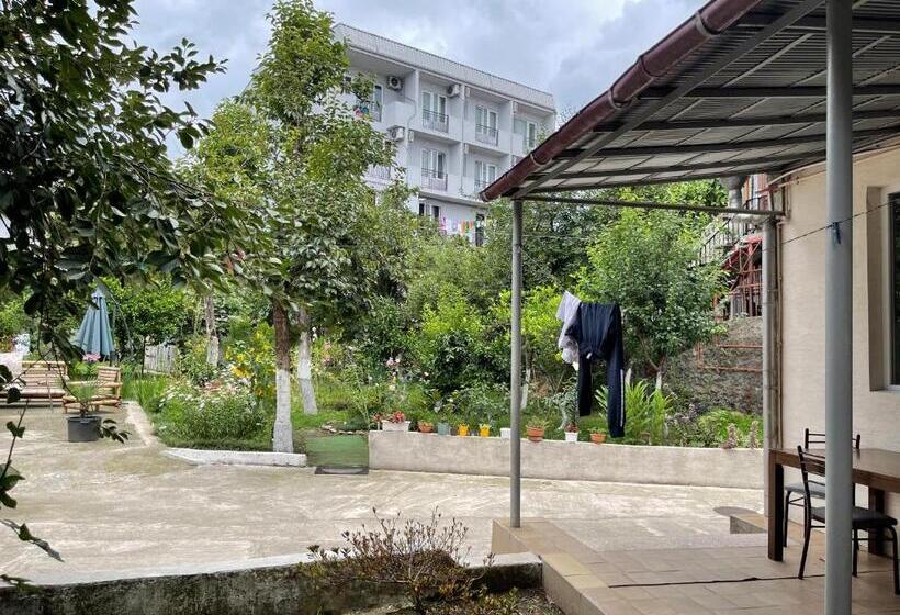 اتاق خانوادگی با چشم‌انداز باغ, Batumi Summer