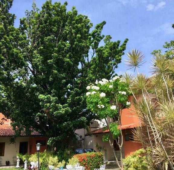 غرفة قياسية داخلية, Jardim