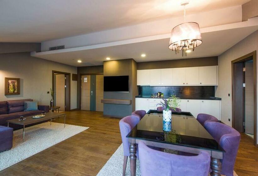 سوئیت 2 خوابه, Radisson Blu Hotel, Ordu