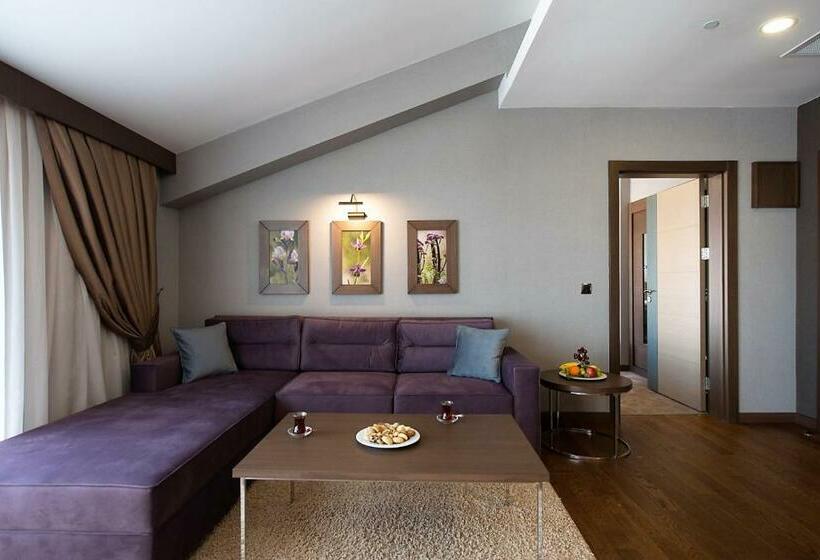 سوئیت 2 خوابه, Radisson Blu Hotel, Ordu
