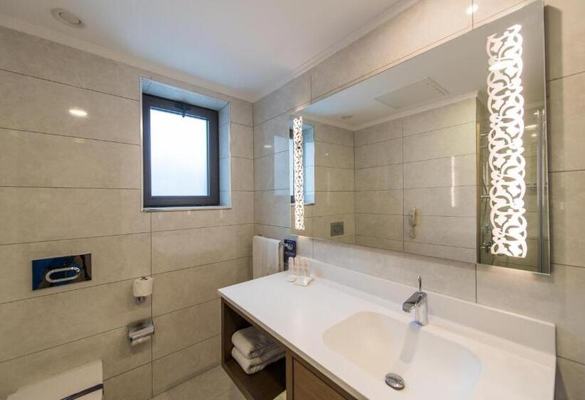 اتاق استاندارد, Radisson Blu Hotel, Ordu