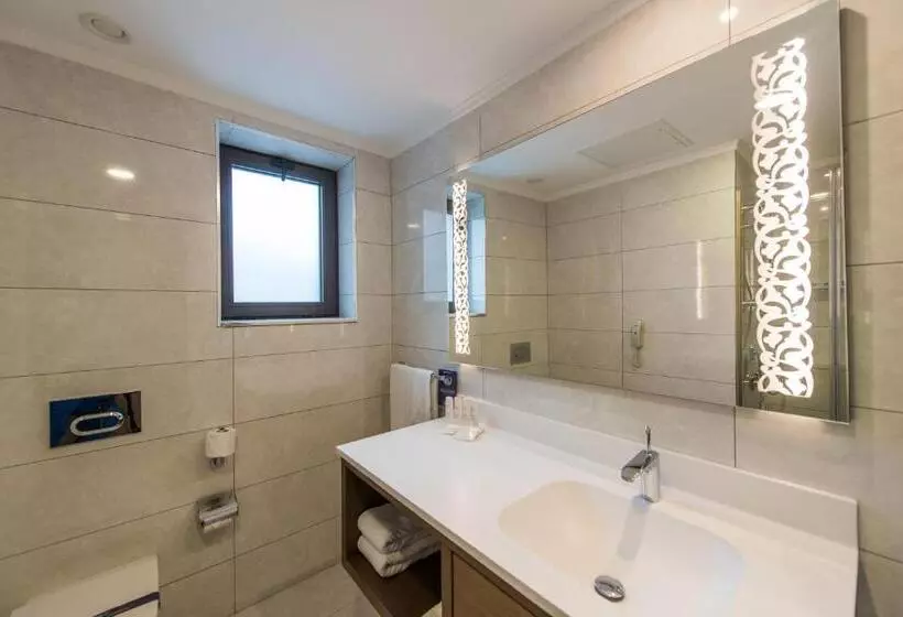 اتاق استاندارد, Radisson Blu Hotel, Ordu