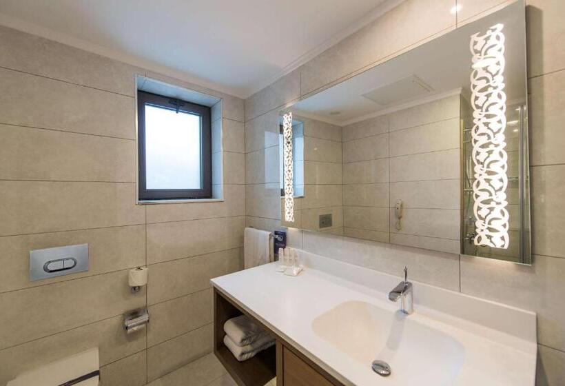 اتاق استاندارد, Radisson Blu Hotel, Ordu