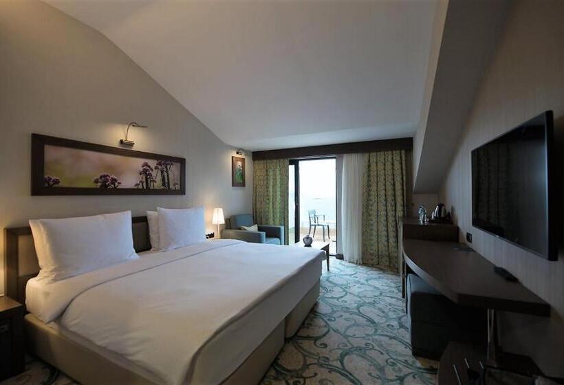 اتاق کلاس بیزنس, Radisson Blu Hotel, Ordu