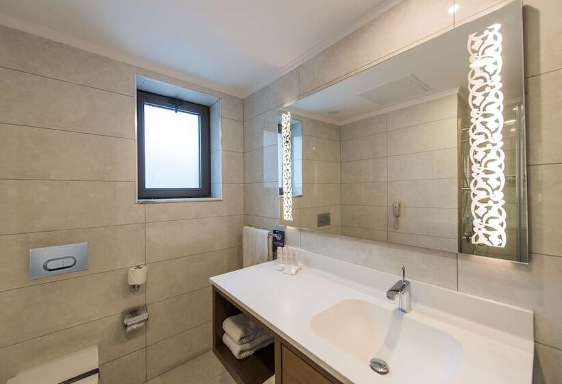 اتاق استاندارد, Radisson Blu Hotel, Ordu