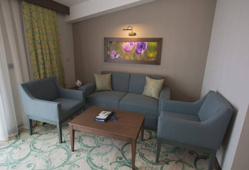 اتاق کلاس بیزنس, Radisson Blu Hotel, Ordu