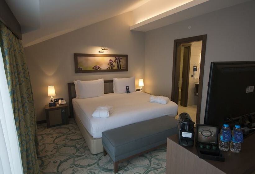 اتاق کلاس بیزنس, Radisson Blu Hotel, Ordu