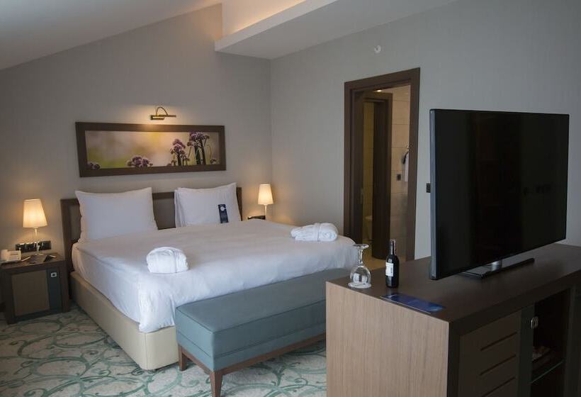 غرفة بيزنس, Radisson Blu Hotel, Ordu