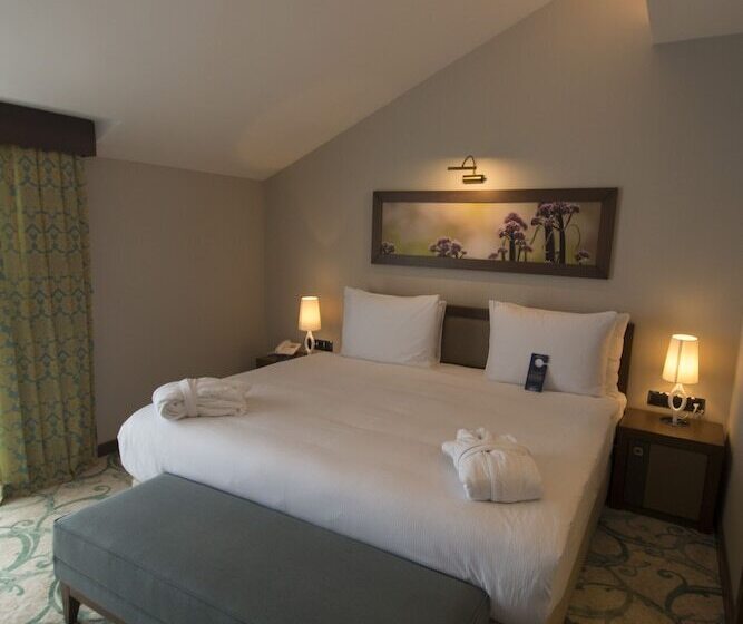 اتاق کلاس بیزنس, Radisson Blu Hotel, Ordu