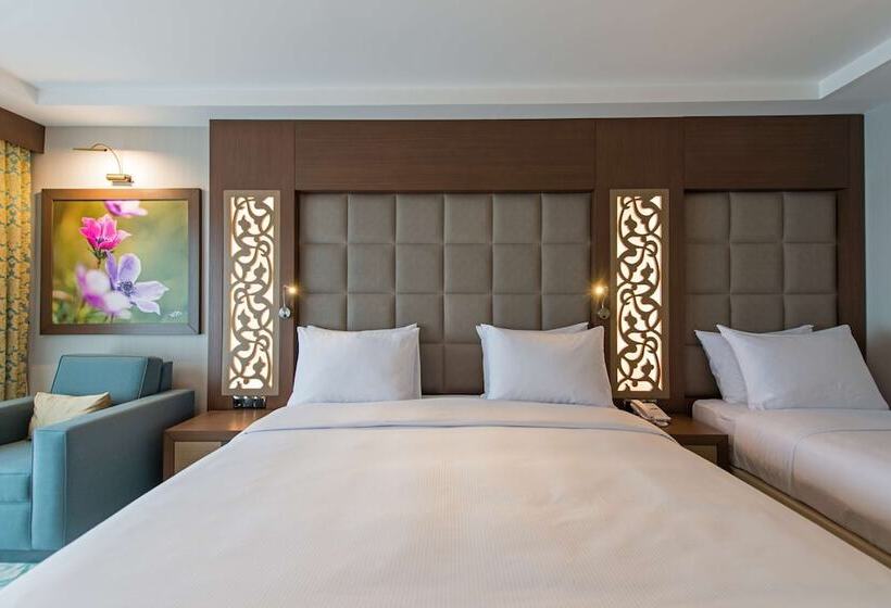 اتاق سوپریور, Radisson Blu Hotel, Ordu