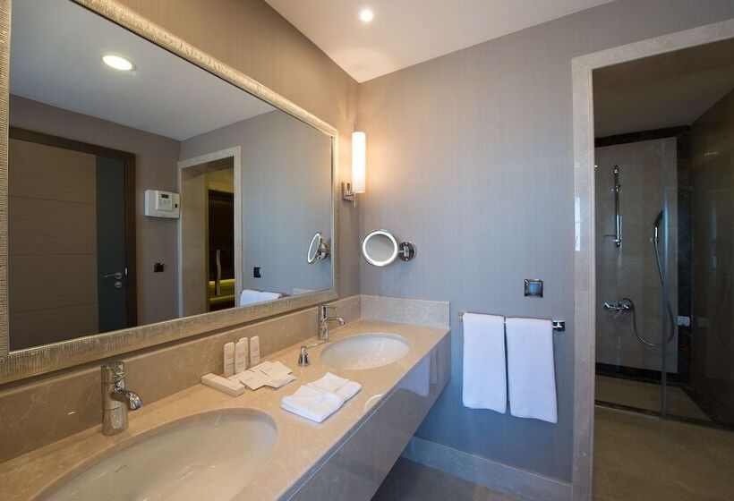 سوئیت 2 خوابه, Radisson Blu Hotel, Ordu