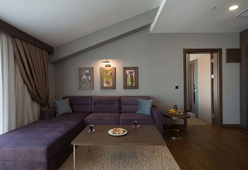 سوئیت 2 خوابه, Radisson Blu Hotel, Ordu
