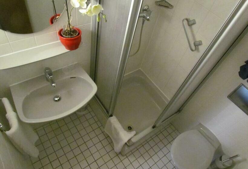 スタンダードルーム, Stadt Mainz