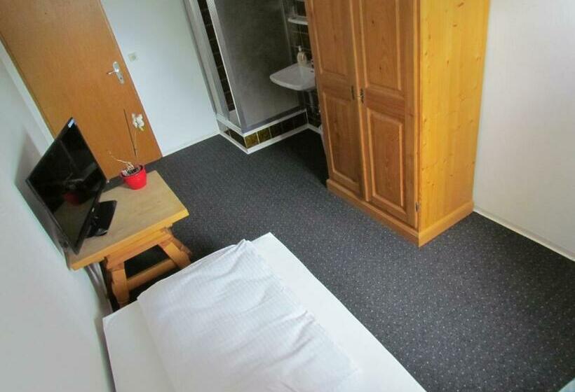 バスルーム共有のシングルスタンダード, Stadt Mainz