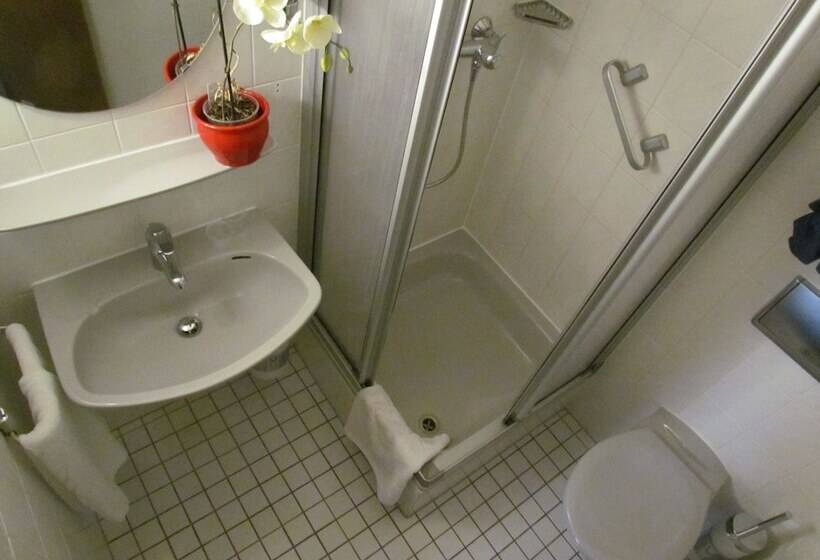 スタンダードルーム, Stadt Mainz